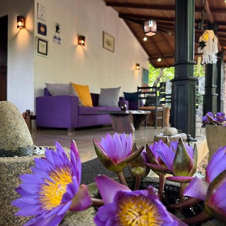 The Green Edge Dambulla Extérieur photo