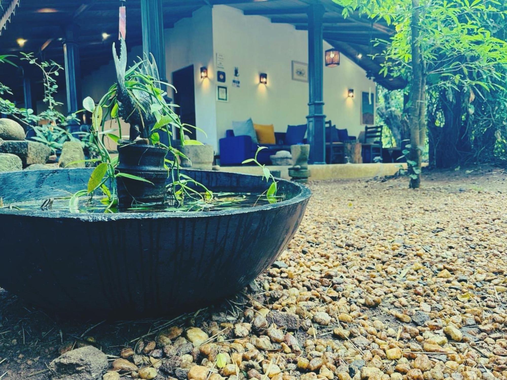 The Green Edge Dambulla Extérieur photo