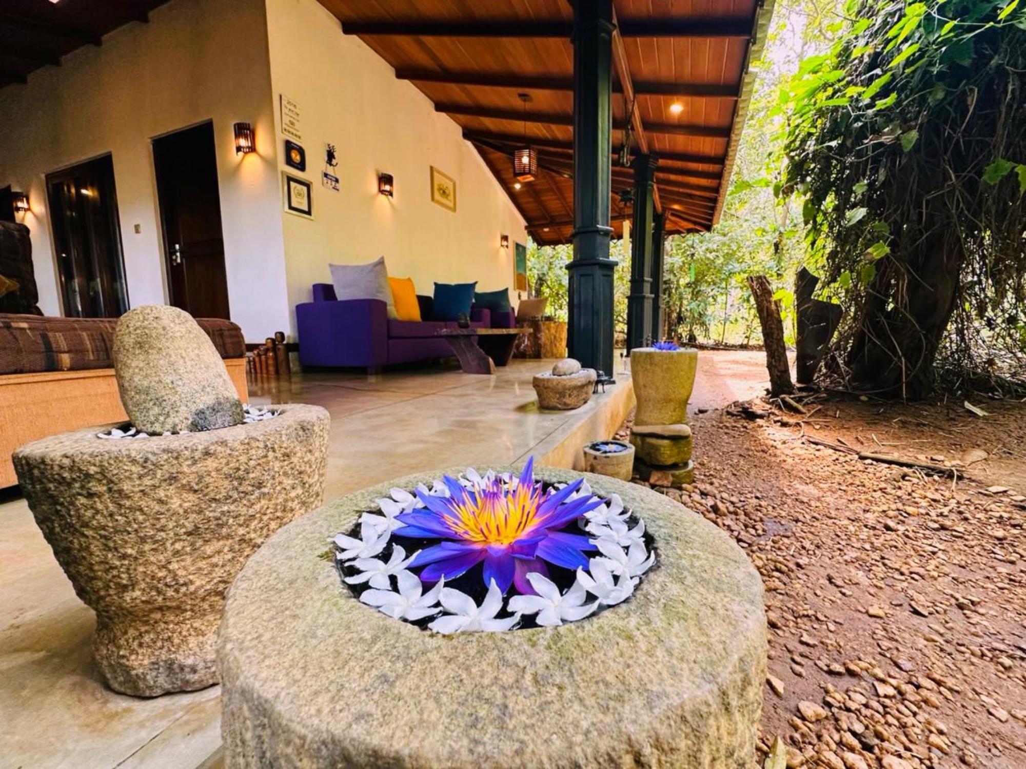 The Green Edge Dambulla Extérieur photo