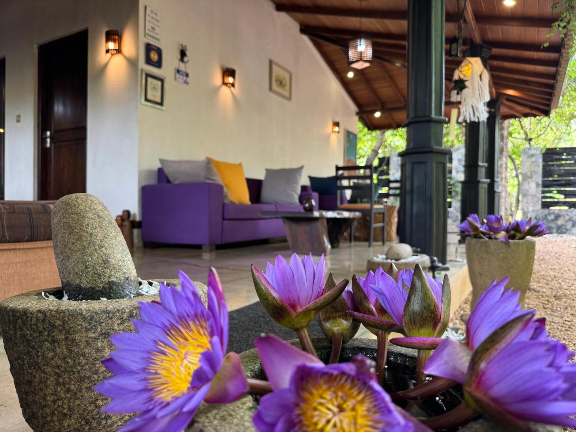 The Green Edge Dambulla Extérieur photo