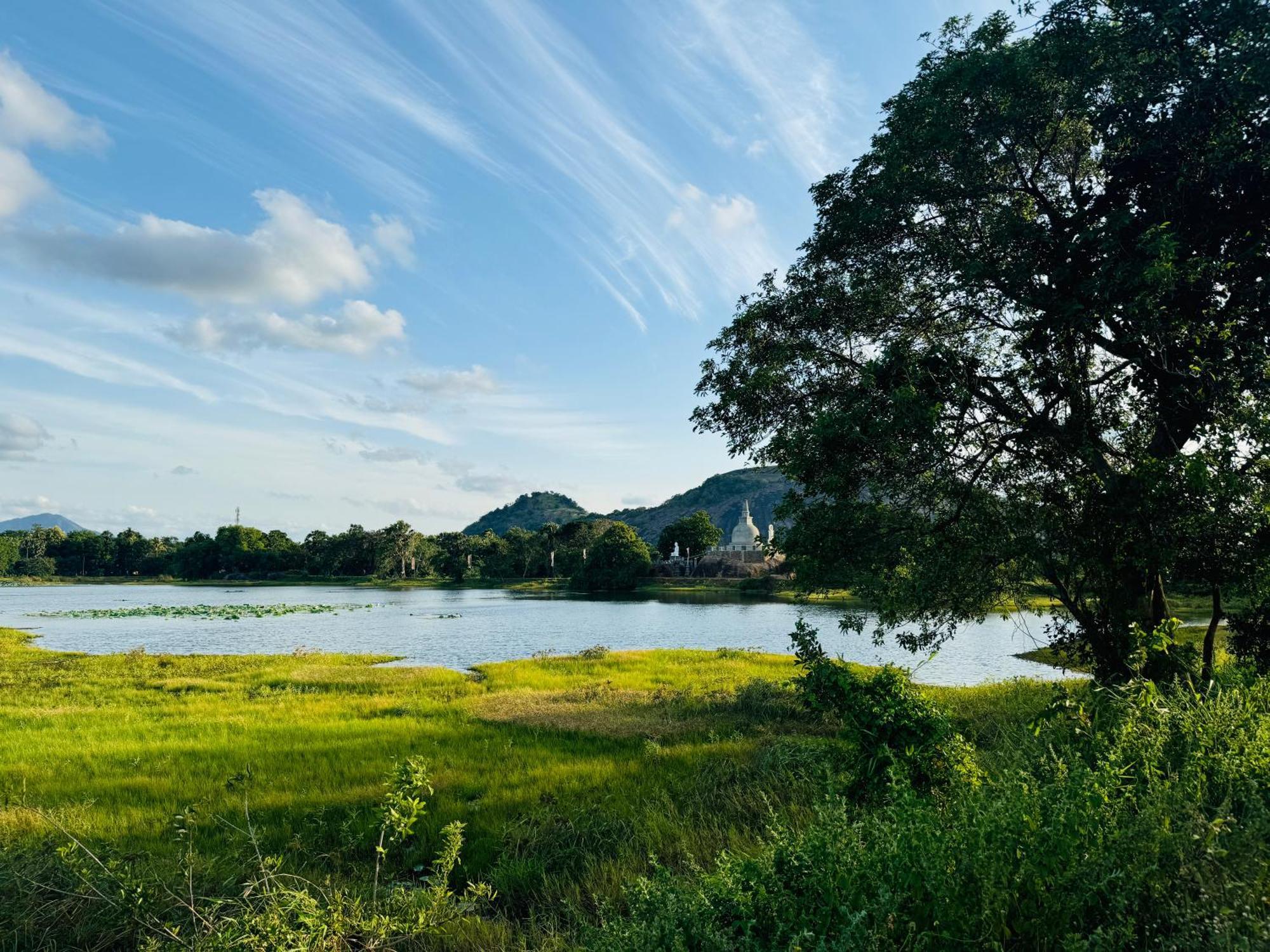 The Green Edge Dambulla Extérieur photo