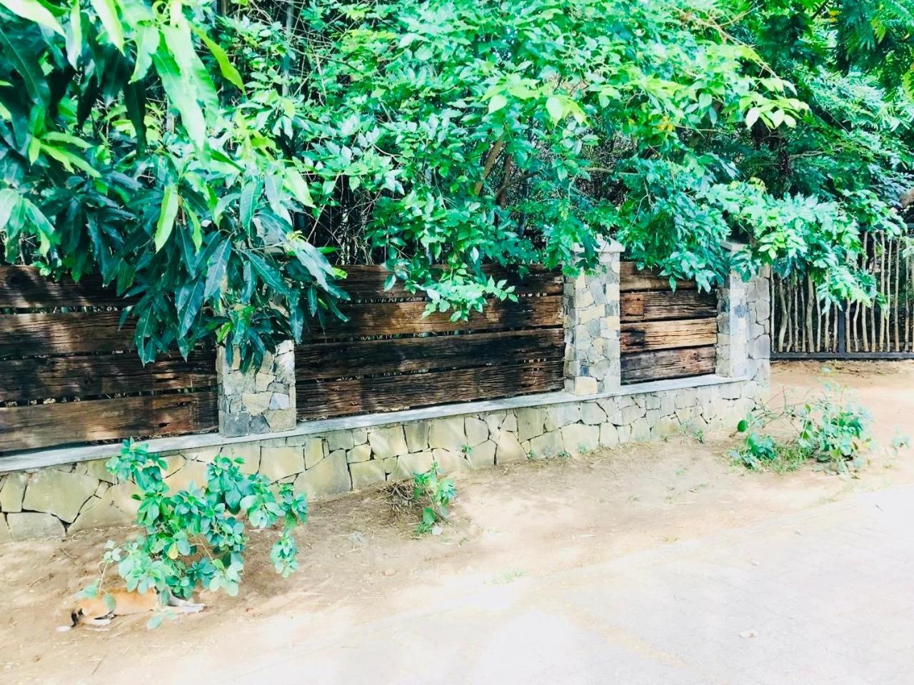 The Green Edge Dambulla Extérieur photo